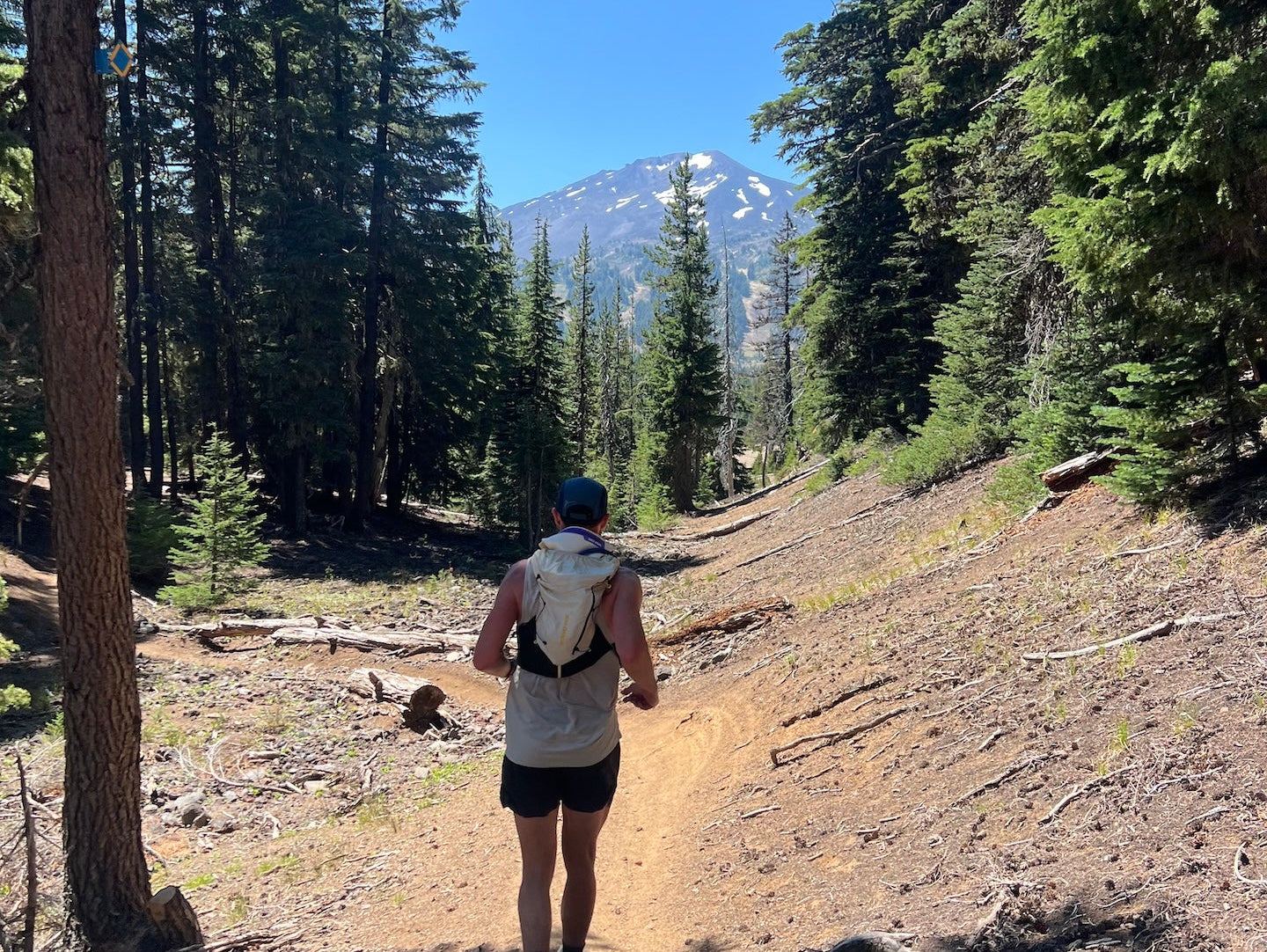 Trail runner in the woods.