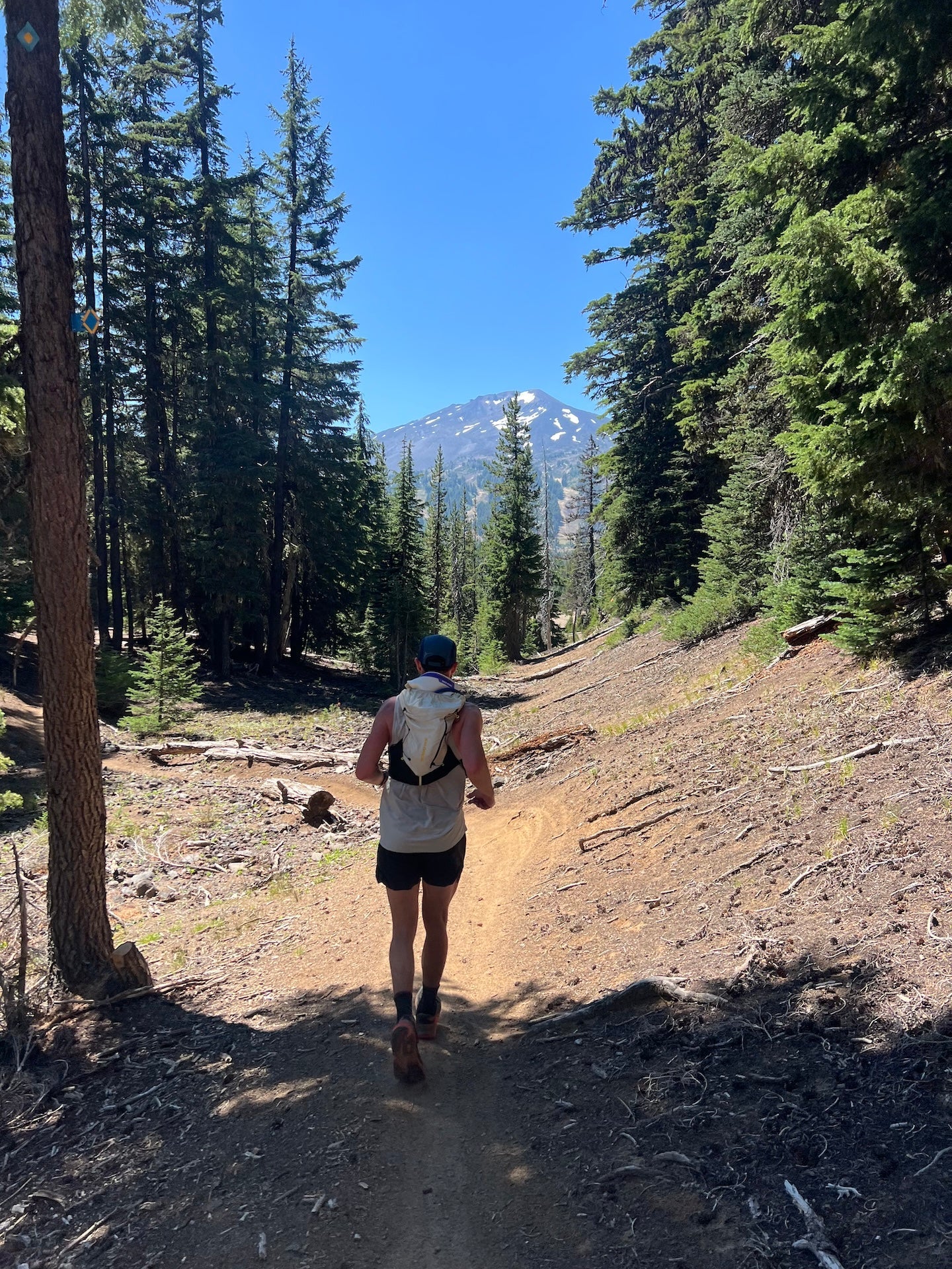 Trail runner in the woods. 